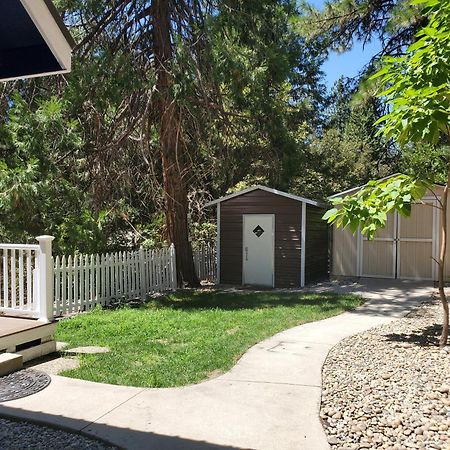 -Serendipity Lodge At Yosemite- Bbq-Full Kitchen-King Bed Oakhurst Eksteriør bilde